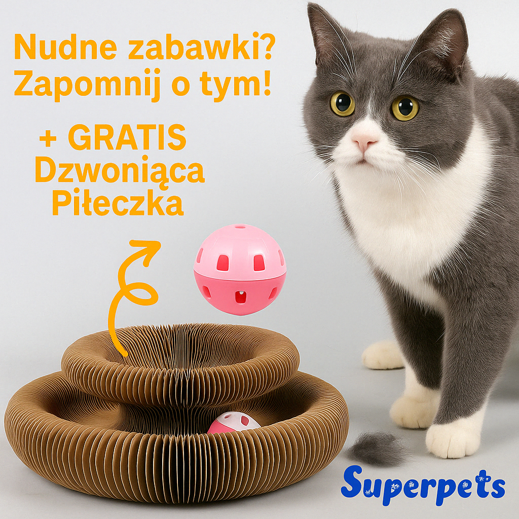 Zabawka Harmonijka Dla Kota Superpets™ + INTERAKTYWNA PIŁECZKA GRATIS!