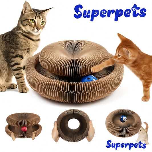 Zabawka Harmonijka Dla Kota Superpets™ + INTERAKTYWNA PIŁECZKA GRATIS!